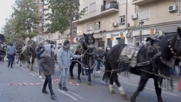 People Horses Parading Street Saint Anthony Abbot Fiesta Procession Valencia — стокове відео