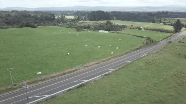 Vista Aérea Coche Conduciendo Largo Carretera Pradera Verde Rotorua Nueva — Vídeos de Stock