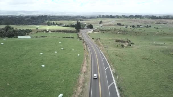 Aerial View Static Shot Cars Driving Road Next Green Meadow — Stock Video