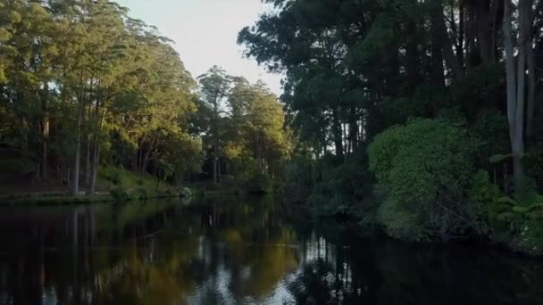 Aerial View Green Forest Lake Mclaren Park New Zealand Horizontal — Stock Video