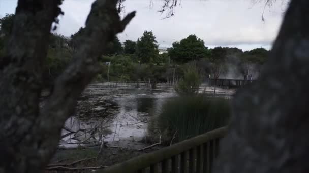 Femme Méconnaissable Approche Belvédère Pour Voir Les Sources Chaudes Naturelles — Video