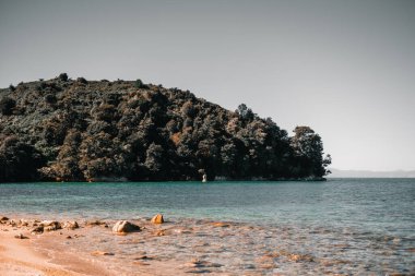 Dalgalar olmadan sakin ve sakin deniz manzarası şeffaf su taşları ve kayalar kıyıda ağaçlık dağın yanında bir sürü bitki örtüsü ve bulutsuz gökyüzü, Abel Tazman plajı, Yeni Zelanda