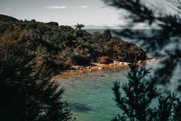 Pequeno Canto Agradável Mar Calmo Entre Vegetação Floresta Verde Exuberante — Fotografia de Stock