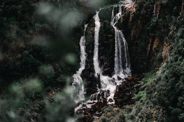 Entspannende Wasserlandschaft Die Sich Ihren Weg Zwischen Steinfelsen Und Waldvegetation — Stockfoto