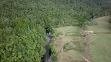 Ağaçlar ve nehirle kaplı yeşil ormanın havadan görünüşü Yeni Zelanda - 4K Yatay Video