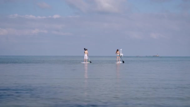 Couple Méconnaissable Debout Sur Des Planches Pagaie Surf Plage Koh — Video