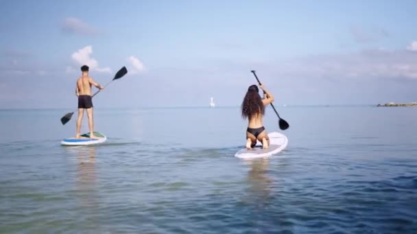 Couple Faire Paddle Surf Matin Mode Vie Sain Actif Vue — Video