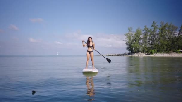 Mujer Latina Atractiva Tablero Paddle Sup Remando Hacia Cámara Concepto — Vídeos de Stock