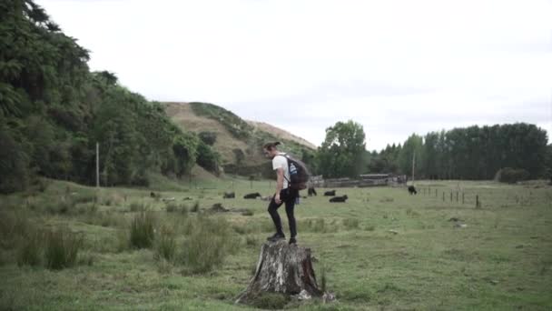 Hombre Salta Desde Tronco Del Árbol Prado Verde Con Vacas — Vídeos de Stock