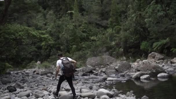 Hombre Caucásico Camina Sobre Las Piedras Junto Río Bosque Isla — Vídeo de stock