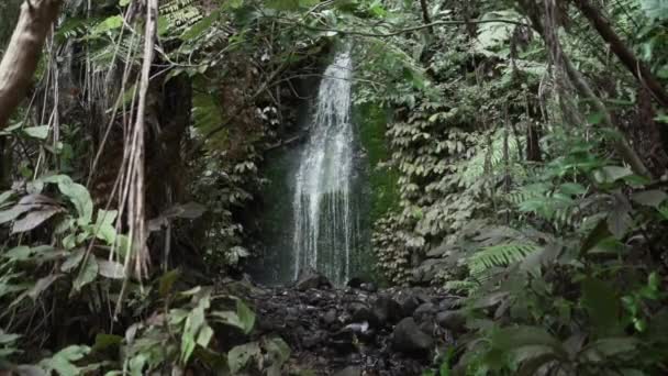Groen Bos Met Natuurlijke Waterval Whenuakura Eiland Nieuw Zeeland Horizontale — Stockvideo