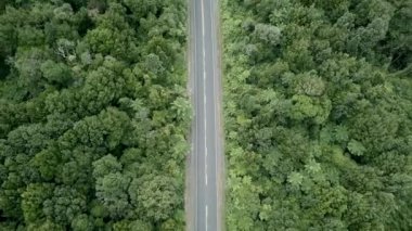 Yeşil ormanın yanındaki yolun ve rotorua kırsalının havadan görünüşü, Yeni Zelanda - 4K Yatay Video