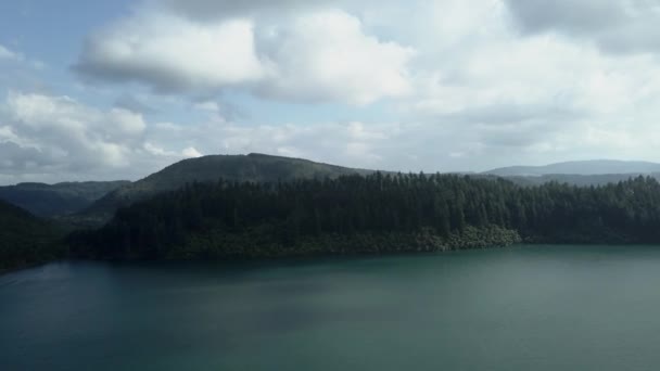 Vista Aérea Del Bosque Verde Lago Rotorua Nueva Isla Horizontal — Vídeo de stock