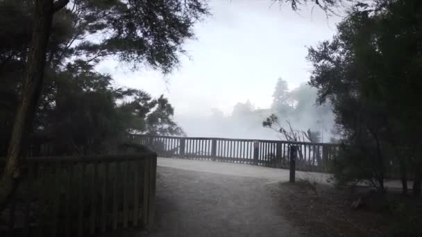 Unrecognizable Man Approaches Lookout Point View Natural Hot Springs Rotorua — Stock Video