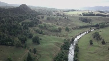 İneklerin ve nehrin bulunduğu yeşil çayır, Yeni Zelanda - 4K Yatay Video