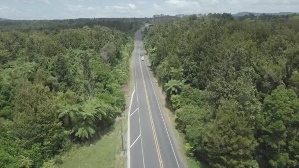 Vista Aérea Los Coches Que Conducen Largo Carretera Junto Bosque — Vídeo de stock