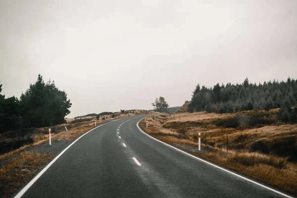 Curva Suave Estrada Tranquila Solitária Através Floresta Entre Árvores Dia — Fotografia de Stock