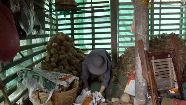 Viejo Limpiando Suciedad Una Granja Tradicional Antihigiénica Tailandia — Vídeos de Stock