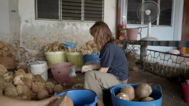 Νεαρή Ασιάτισσα Ανοίγει Και Βγάζει Νερό Από Καρύδα Παραδοσιακό Εργοστάσιο — Αρχείο Βίντεο