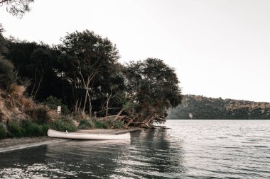 Kürekleri durgun su gölünün kıyısında durmakta olan küçük beyaz ahşap kano ormana ve gri gökyüzünün altındaki ağaçlara, tarawera gölüne, Yeni Zelanda 'ya yaşam tarzı seyahat kavramına götürüyor.