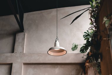 Basit bir metal lamba, güzel bir kahve dükkanının ön kapısında asılı duran ipte asılı duruyor. Kapısında bir sürü bitki asılı, Mylk barı, Yeni Zelanda - Yaşam tarzı konsepti