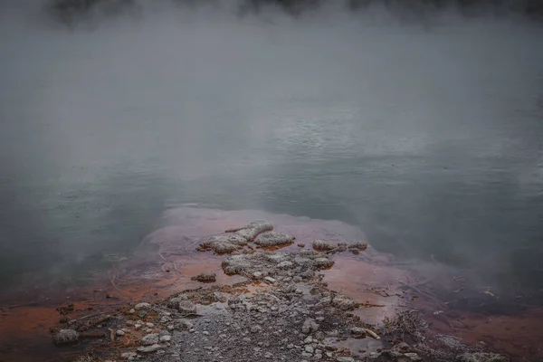 Skały Kamienie Brzegu Jeziora Rotorua Koncepcja Przyrody — Zdjęcie stockowe
