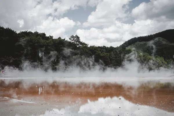 Rotorua Bir Gölde Buharı Doğa Konsepti — Stok fotoğraf