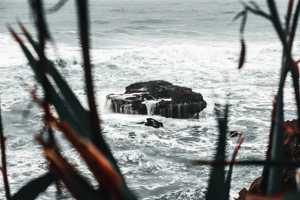 large rock without vegetation solitary flat in the middle of the sea very moved by the strong waves with a lot of foam in the water between the plants of the coast, pancake rocks, new zealand - Travel