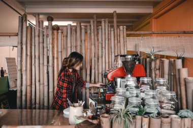 Kareli gömlekli Asyalı bir kız, temiz bir kahve dükkanında çalışıyor ve lezzetli kahve demliğini düzenliyor, Mylk barı, Yeni Zelanda - yaşam tarzı konsepti