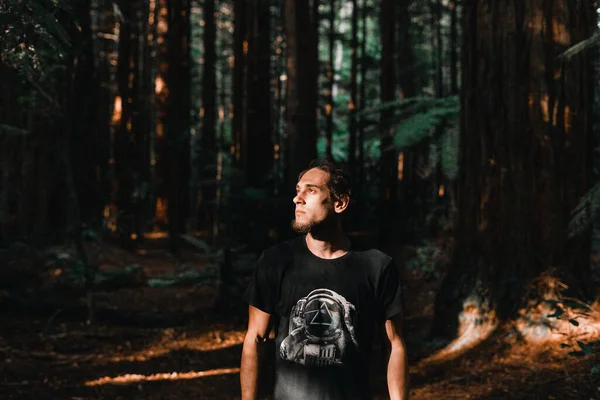 Kaukasischer Junge Schwarzen Shirt Der Üppigen Wald Die Sonne Blickt — Stockfoto