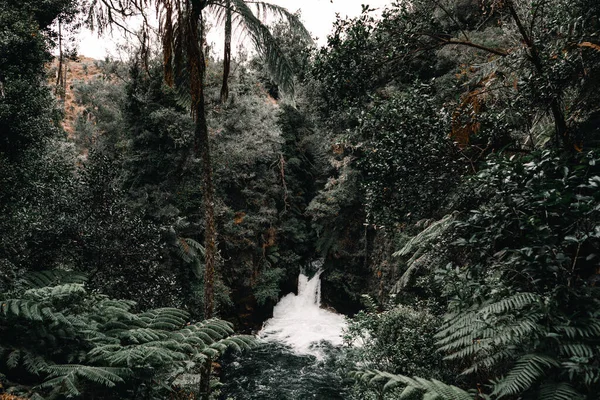 Small Waterfall Lots Foam Small Lake Lush Forest Vegetation Cloudy — Stock Photo, Image