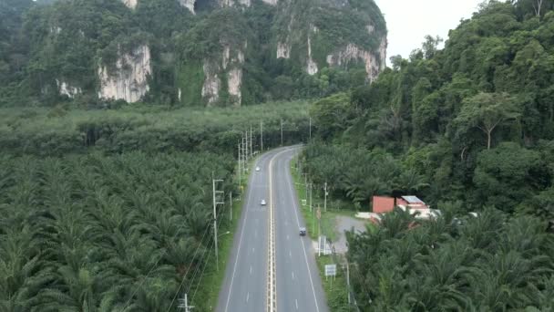 タイの道路 山を走る車の空中ビュー 4K水平ビデオ — ストック動画