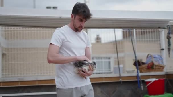 Caucasian Man Holds Guinea Pig Sits Balcony Trim Its Hair — Stock Video