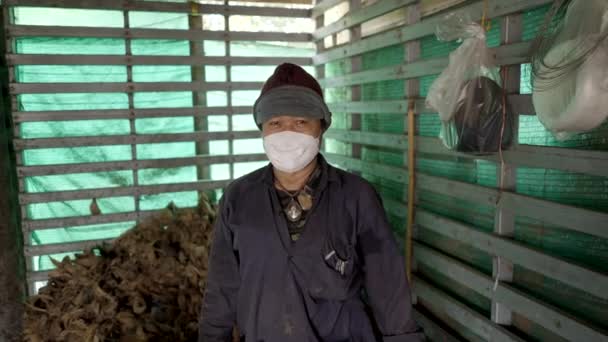 Triste Ancião Asiático Homem Olhando Para Câmera Uma Fazenda Tradicional — Vídeo de Stock