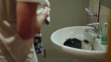 Küçük kobay havluya tırmanıyor ve sahiplerinin ellerini görüyor. Yakın çekim. 4K yatay video.