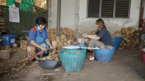 Zwei Junge Frauen Schälen Und Extrahieren Wasser Aus Kokosnüssen Umgeben — Stockvideo
