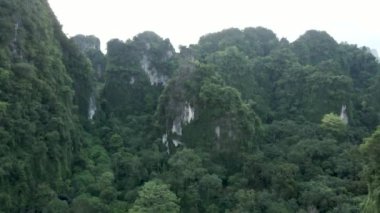 İnanılmaz manzara. Krabi, Tayland 'da doğa, ağaçlar ve kireçtaşı dağları var. 4K yatay video.