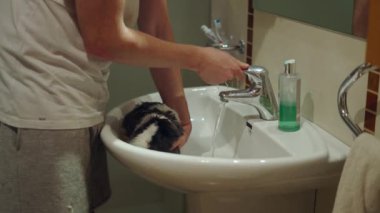 Adam banyo lavabosunda kobay tutarken musluğu açar - 4K Yatay video