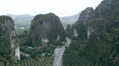 Tayland 'ın kırsal kesimlerinde uçan insansız hava aracının görüntüsü. Yeşil doğa manzarası - 4K Yatay video