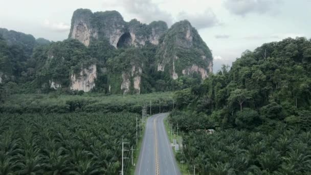 Tayland Krabi Adası Ndaki Dağlar Doğa Manzarası Hava Manzarası Yatay — Stok video