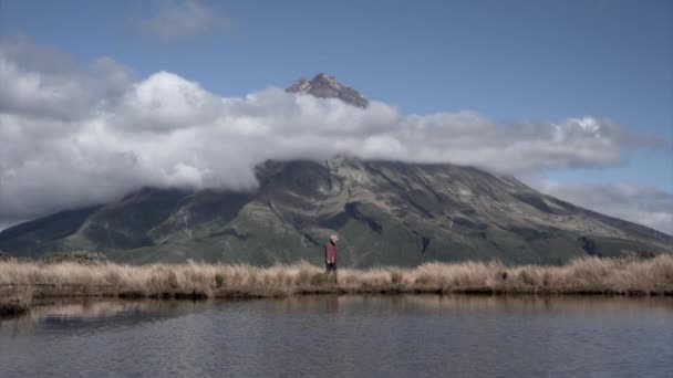 Frau Wandert Auf Naturpfad Durch Taranaki Und Das Meer Neuseeland — Stockvideo