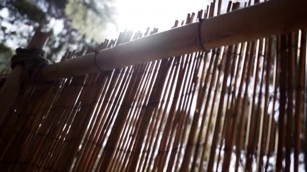 Bamboo Fence Sun Sunny Day Travel Concept — Stock Video