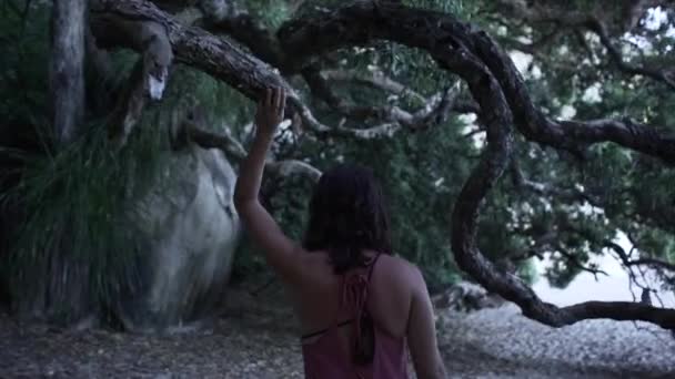 認識できない女性が砂の上を歩き 新しいチュムビーチの木々の間を歩きます ニュージーランド 水平ビデオ — ストック動画