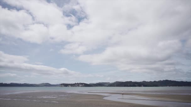 Mężczyzna Jogging Wzdłuż Dużej Plaży Nowych Kolegów Plaży Nowa Zelandia — Wideo stockowe