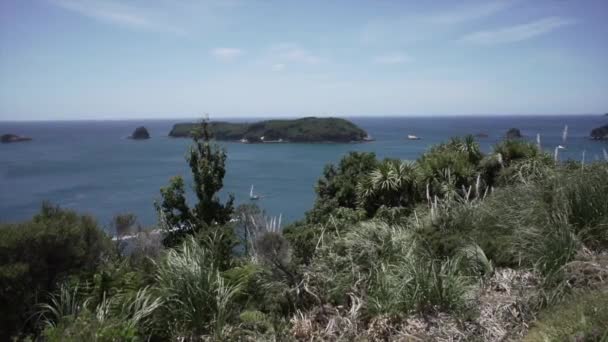 Dos Barcos Cruzan Mar Playa Nuevos Amigos Nueva Zelanda Vídeo — Vídeos de Stock
