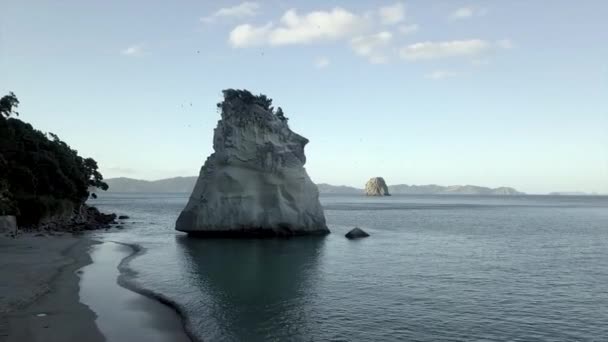 Vista Aérea Ilha Enseada Rocha Catedral Nova Zelândia Vídeo Horizontal — Vídeo de Stock