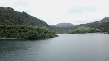 yemyeşil orman ve denizin hava manzarası, Yeni Zelanda - seyahat kavramı