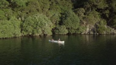 Teknede bir çiftin hava görüntüsü, güneşli bir öğleden sonra büyük bir ormanın yanında kürek çeken bir kız, Yeni Zelanda - seyahat konsepti