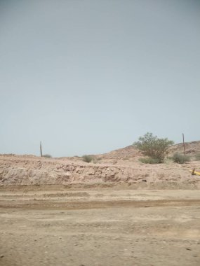 Çalılarla çöl manzarası