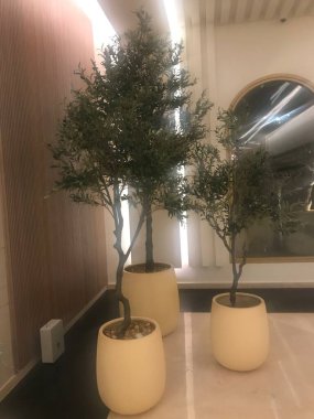 Modern bir otelin içinde.